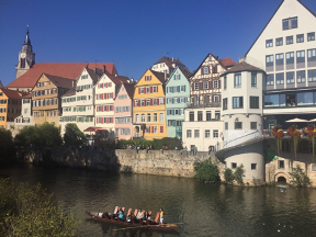 News from our students who are currently studying in Germany